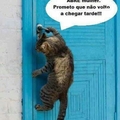 abre a porta Mari gatinha