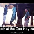 Zoo Life