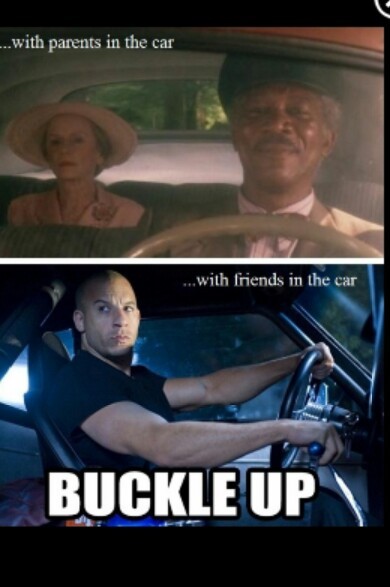 buckle up - meme