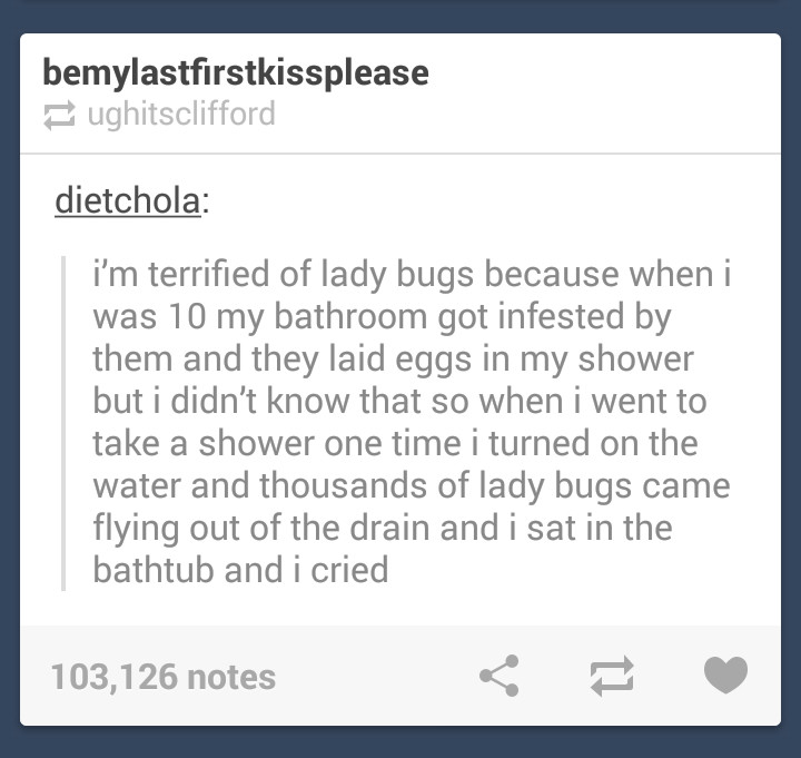 Lady bugs - meme