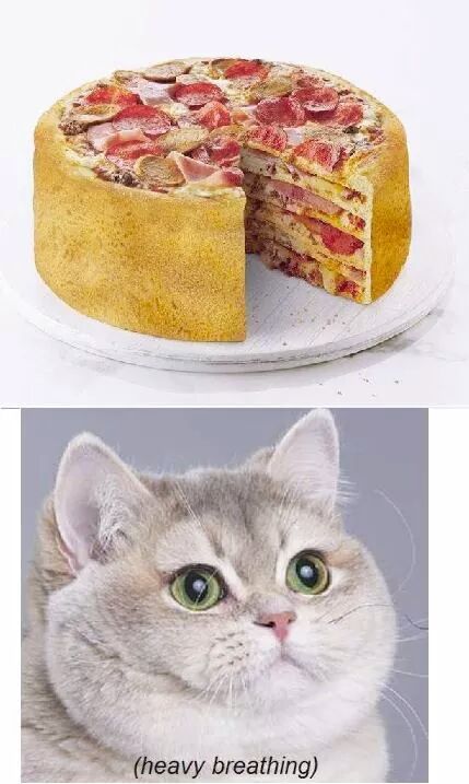 pizza cake.... - meme
