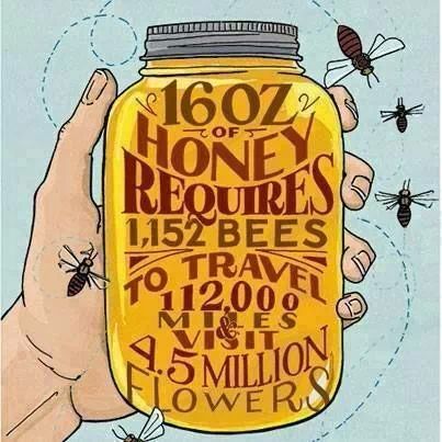 Honey bees - meme