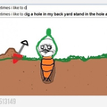 i am a carrot