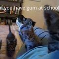 Gum? Please share