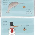 Poor Narwhal :( 