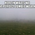 Oh, Wales!