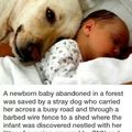 amazing story