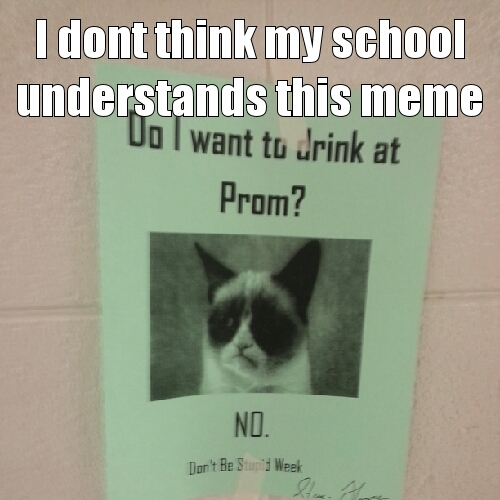 School Fail - meme
