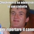 Chuck Norris al contrario
