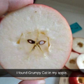 Grumpy in my apple!