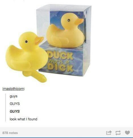 Dick duck - meme