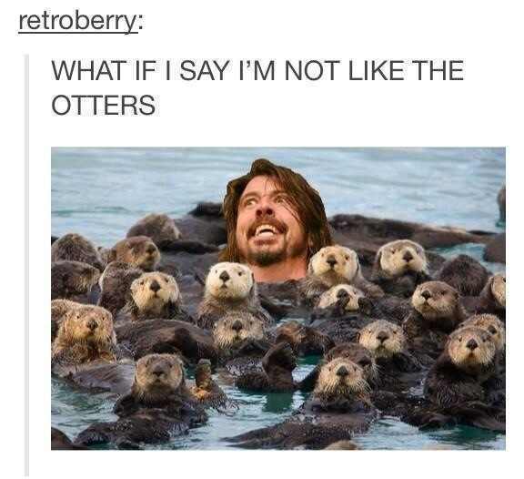 dave grohl is the shit - meme