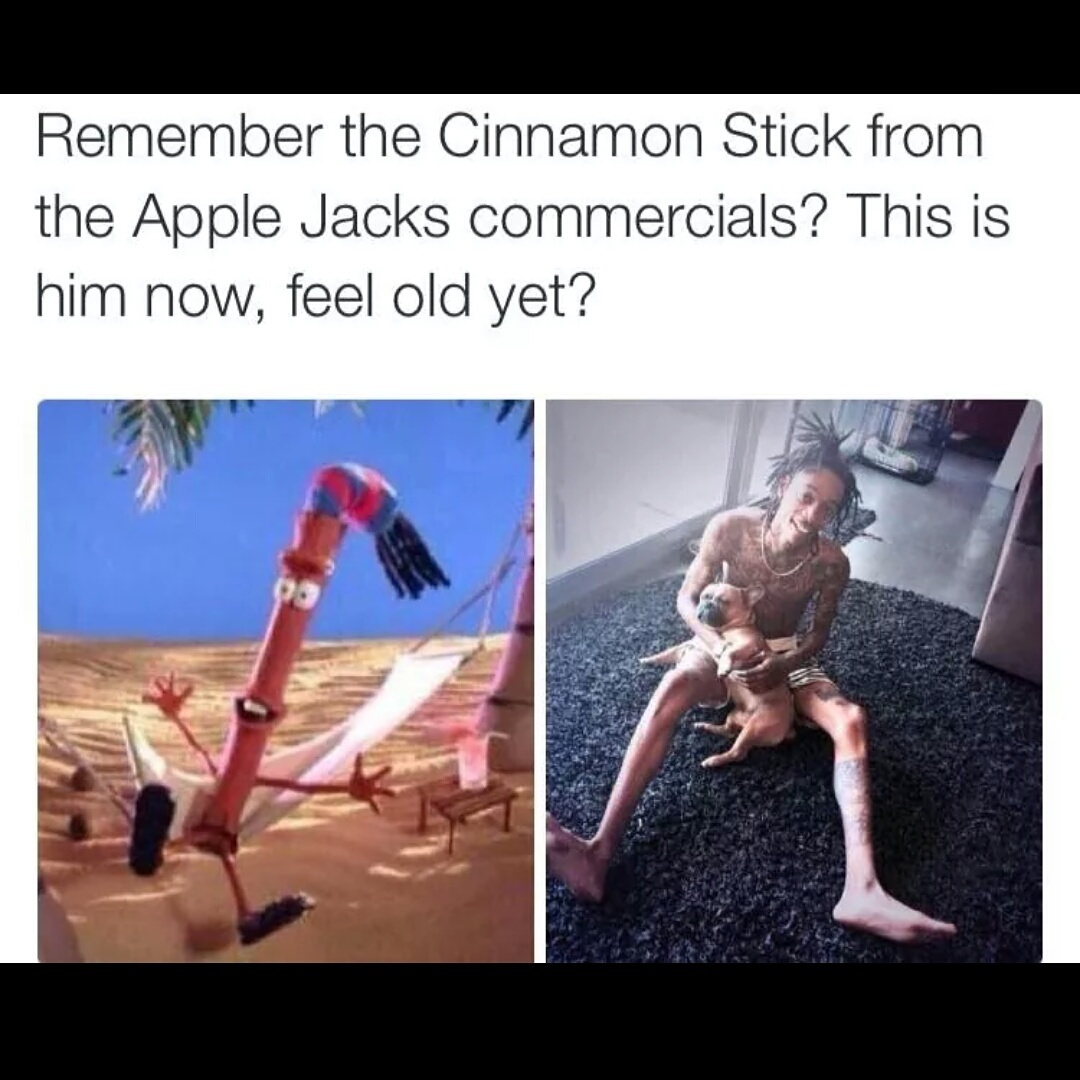 cinnamon stick all grown up - meme
