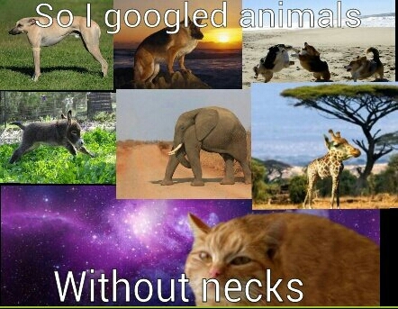 they sure arent a neck ahead of the rest!! *ungodly chortle* - meme