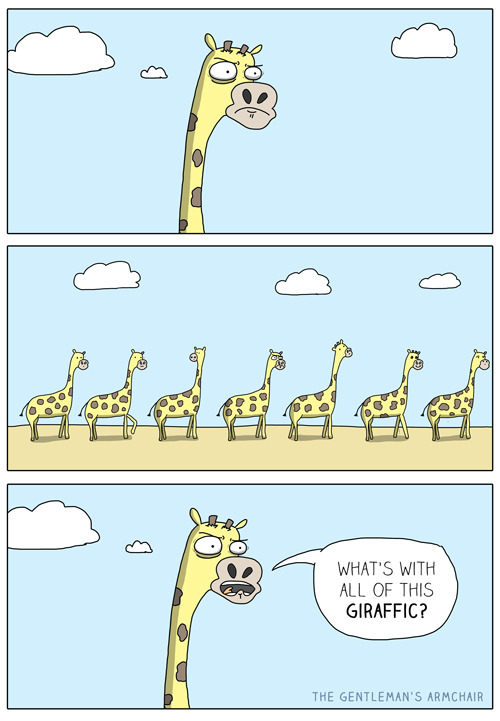 giraffic card = ati  - meme