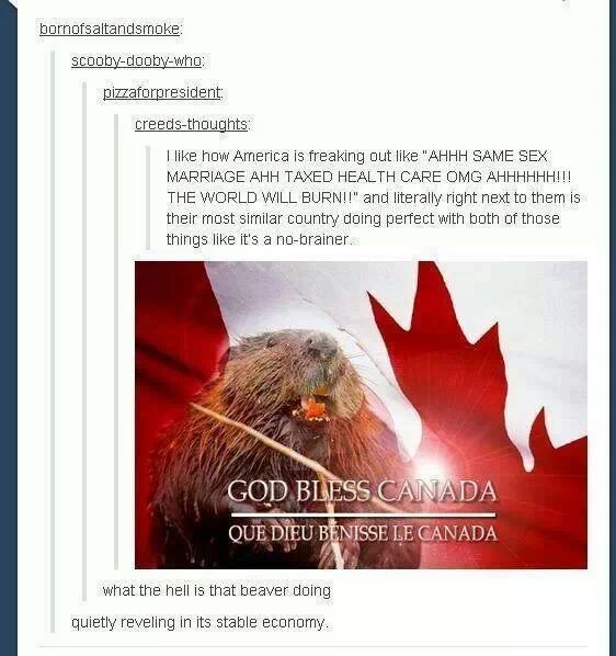 Maybe we should just invade Canada - meme