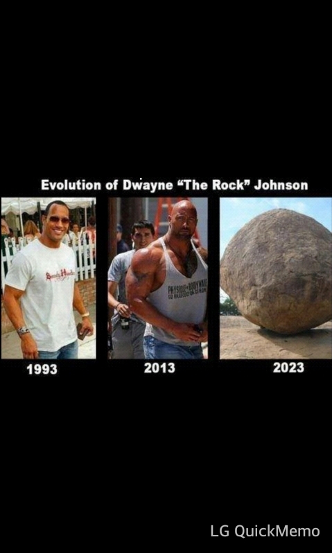 the rock - meme