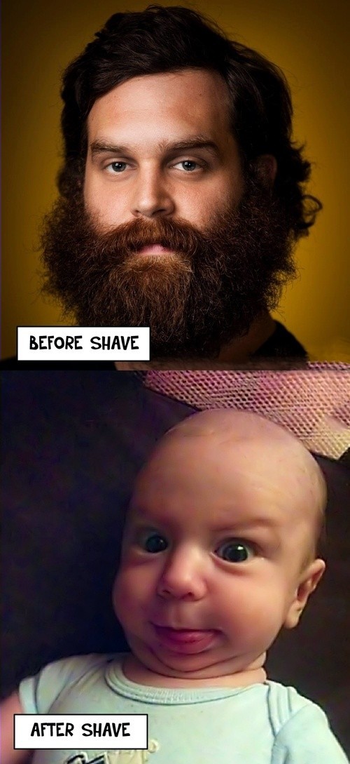 Shave Why dont You - meme