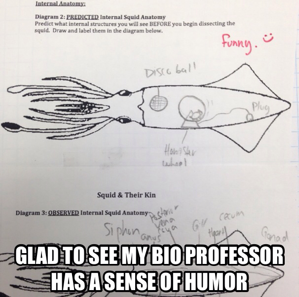 Мем кальмары. Шутки про игру в кальмара. Сон кан хо игра в кальмара. Анекдоты про игру в кальмара. Мемы про игры.