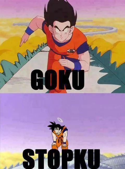 Goku Stopku LOL - meme
