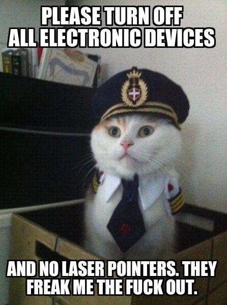 Captain cat - meme