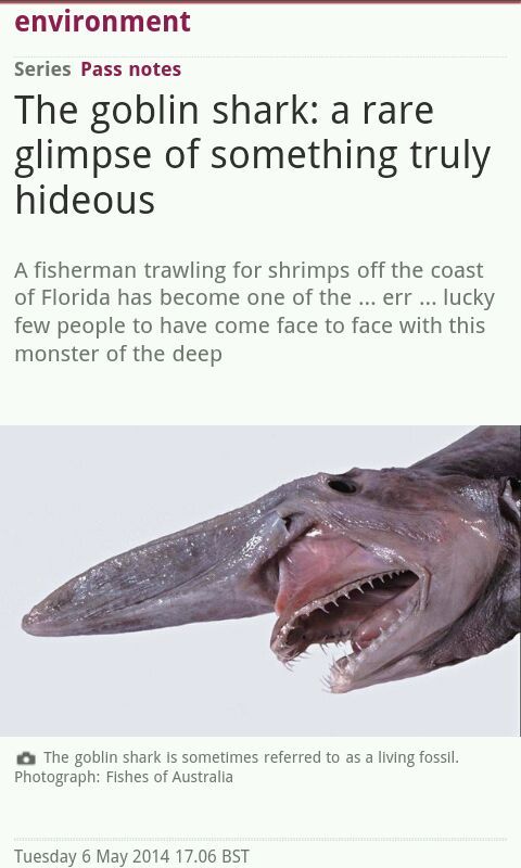 titles favorite creature is the goblin shark. what's yours? - meme