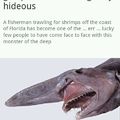 titles favorite creature is the goblin shark. what's yours?