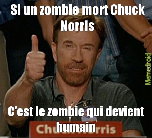 on ne mort pas Chuck Norris - meme