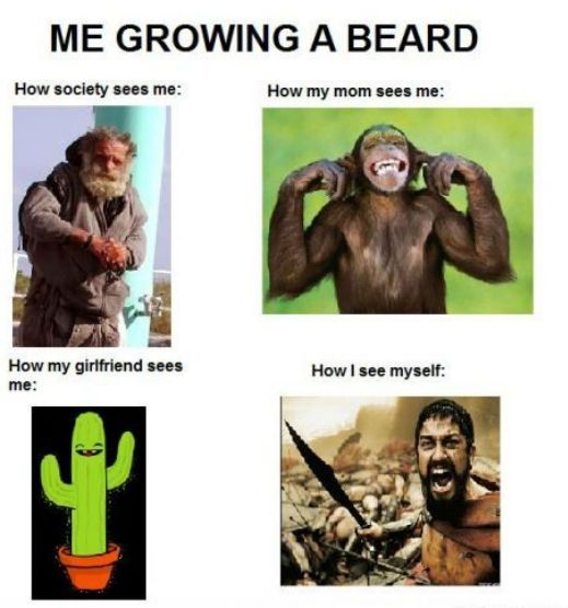 beards... *itchy* - meme