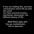 you are all awesome :)