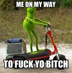 Kermit the butch stealer - meme