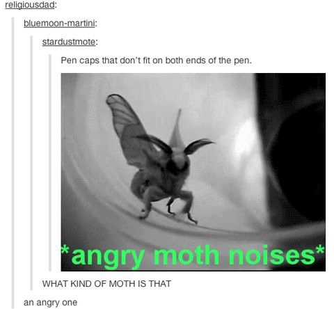 Angry Moth - meme
