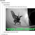 Angry Moth