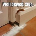 For some reason this slug doesn't like my cocaine... what a dick.