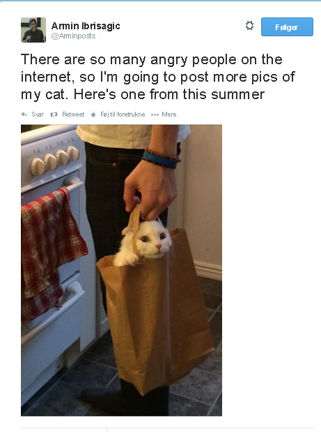 Cat in a bag - meme