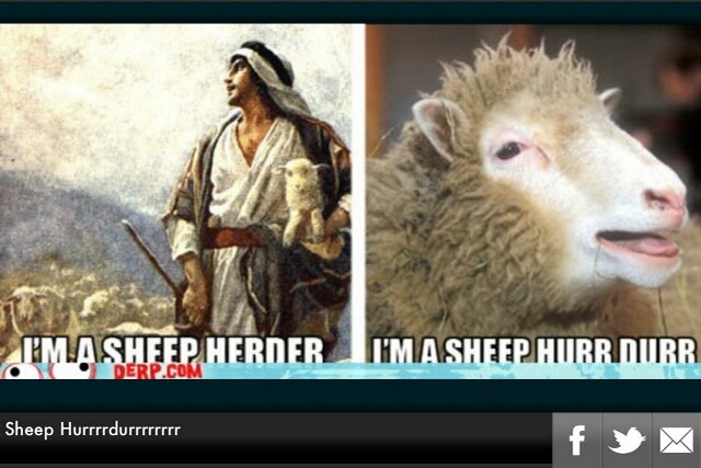 herder - meme