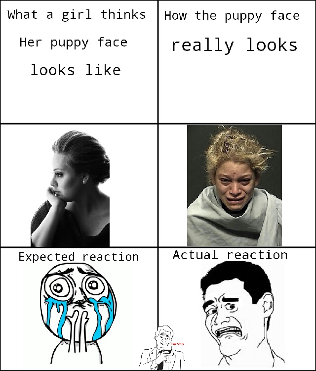 Puppy Faces - meme
