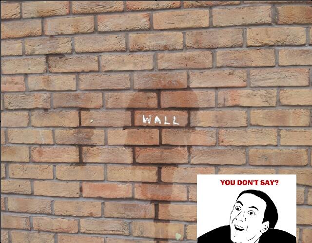 wall - meme