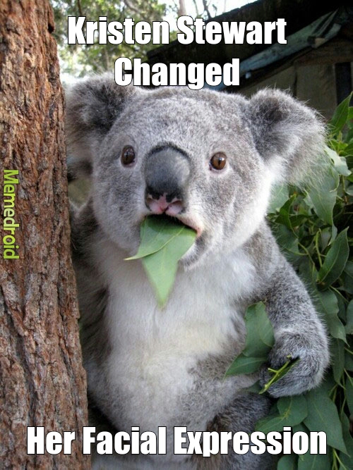 Shocked Koala - meme