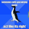 socially awkward penguin