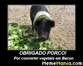 #vegetal - meme
