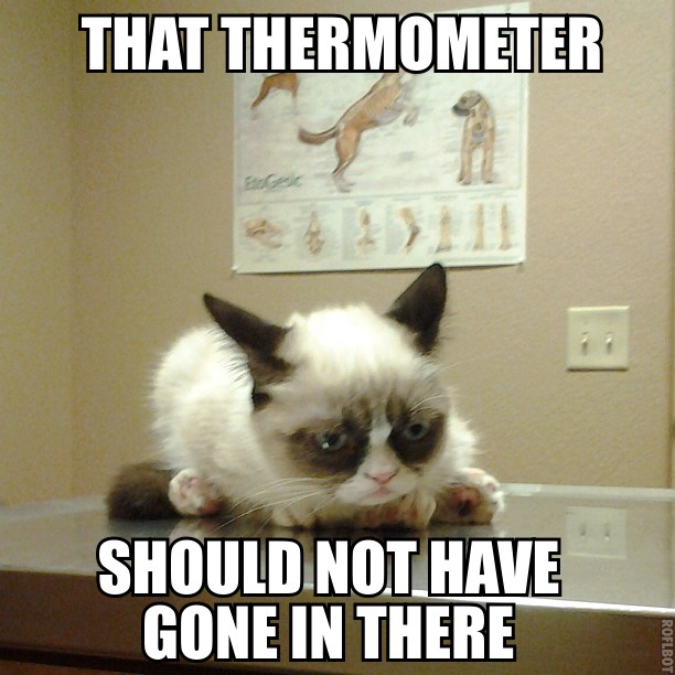 Grumpy cat goes to the doctor. - meme