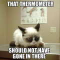 Grumpy cat goes to the doctor.