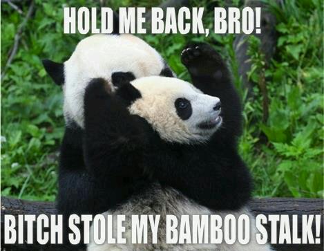 bitch stole my bamboo.... - meme