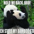 bitch stole my bamboo....