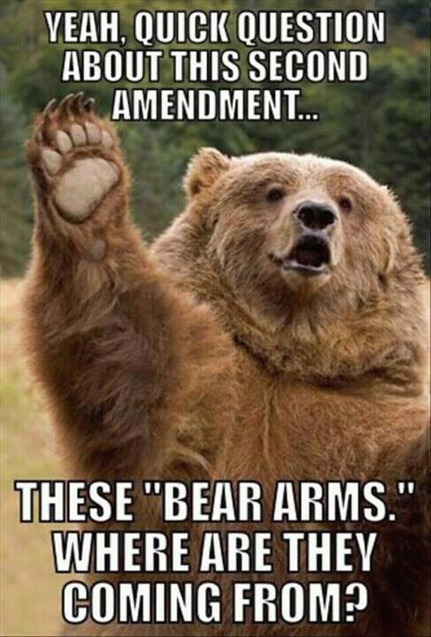 bear arms - meme