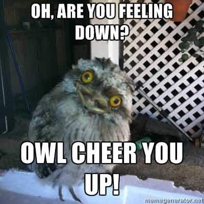 Feels Owl - meme