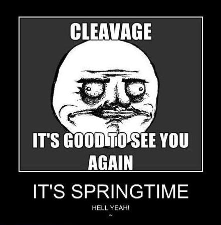 springtime - meme