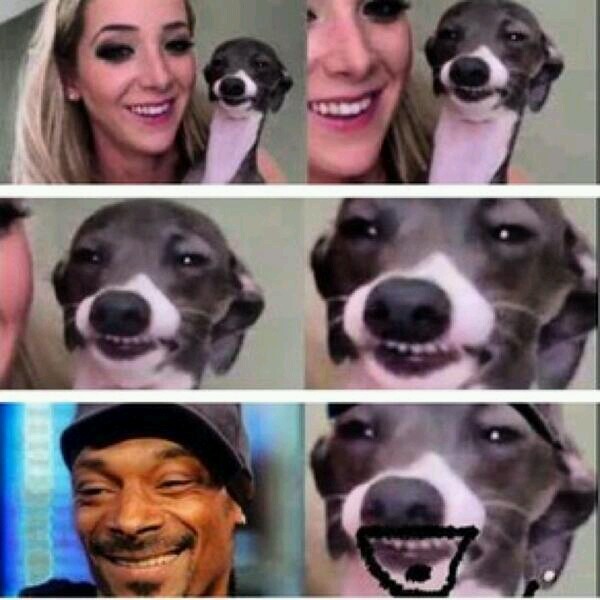 Snoop - meme