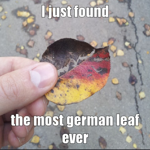 Yay german leaf- anyone been to germany?? - meme